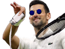 novak-djokovic-nole-vs-lorenzo-musetti-violon-sel-saliere-lunettes-bleus-demi-finale-wimbledon-2024