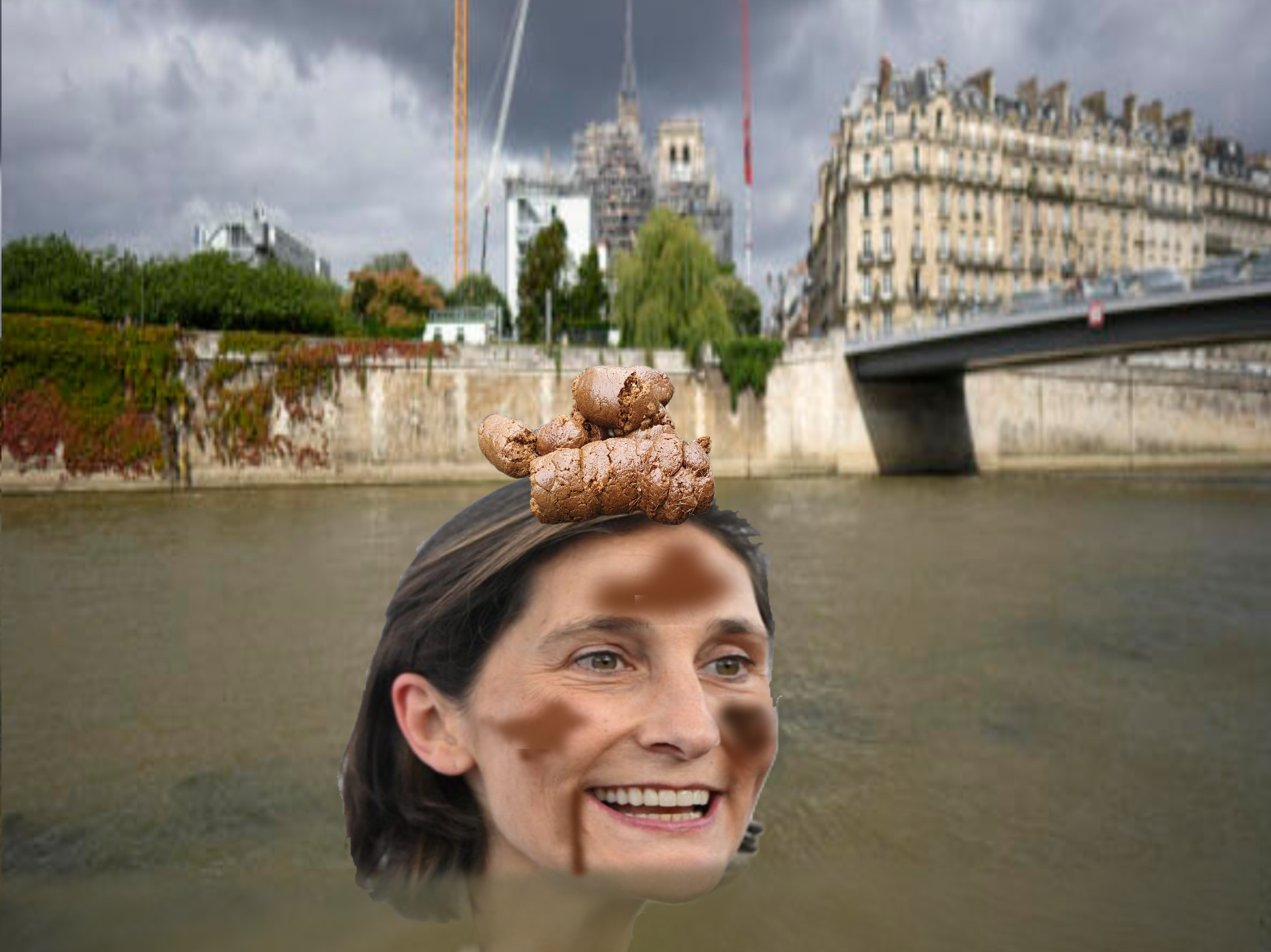ministre sports amelie oudea-castera oudea castera nage dans la seine eau verte caca crotte jo