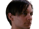 peter-parker-bully-spider-man-spider-man-3-film-2007-tobey-maguire-acteur-americain-homme