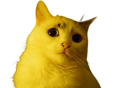 pompom arseneur timide celestin chalestin chat zeta victime other