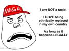 maga-make-america-great-again-donald-trump-4chan-wojak-retard-patriot-not-racist-gr-white