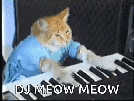 chat-piano-clavier-meme-musique-dj-meow-miaou