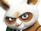 maitre-shifu-kung-fu-panda-kungfu-dreamworks-film-saga-animation-roux-vieux-art-martiaux-animal