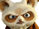 maitre-shifu-kung-fu-panda-kungfu-dreamworks-film-saga-animation-roux-vieux-art-martiaux-animal