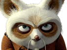 maitre-shifu-kung-fu-panda-kungfu-dreamworks-film-saga-animation-roux-vieux-art-martiaux-animal