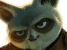 maitre-shifu-kung-fu-panda-kungfu-dreamworks-film-saga-animation-roux-vieux-art-martiaux-animal