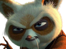 maitre-shifu-kung-fu-panda-kungfu-dreamworks-film-saga-animation-roux-vieux-art-martiaux-animal