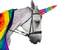 jo-jeux-olympiques-ceremonie-paris-2024-lgbt-cheval