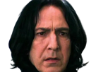 severus-rogue-fic-poudlard-serpentard-professeur-directeur-harry-potter-hp-film-alan-rickman-acteur-britannique