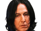 severus-rogue-fic-poudlard-serpentard-professeur-directeur-harry-potter-hp-film-alan-rickman-acteur-britannique