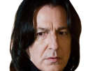 severus-rogue-fic-poudlard-serpentard-professeur-directeur-harry-potter-hp-film-alan-rickman-acteur-britannique