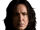 severus-rogue-fic-poudlard-serpentard-professeur-directeur-harry-potter-hp-film-alan-rickman-acteur-britannique