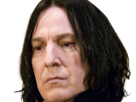 severus-rogue-fic-poudlard-serpentard-professeur-directeur-harry-potter-hp-film-alan-rickman-acteur-britannique