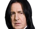 severus-rogue-fic-poudlard-serpentard-professeur-directeur-harry-potter-hp-film-alan-rickman-acteur-britannique