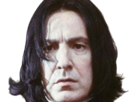 severus-rogue-fic-poudlard-serpentard-professeur-directeur-harry-potter-hp-film-alan-rickman-acteur-britannique