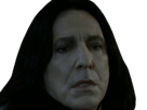 severus-rogue-fic-poudlard-serpentard-professeur-directeur-harry-potter-hp-film-alan-rickman-acteur-britannique