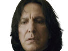 severus-rogue-fic-poudlard-serpentard-professeur-directeur-harry-potter-hp-film-alan-rickman-acteur-britannique