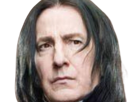 severus-rogue-fic-poudlard-serpentard-professeur-directeur-harry-potter-hp-film-alan-rickman-acteur-britannique