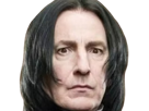 severus-rogue-fic-poudlard-serpentard-professeur-directeur-harry-potter-hp-film-alan-rickman-acteur-britannique