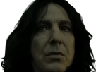 severus-rogue-fic-poudlard-serpentard-professeur-directeur-harry-potter-hp-film-alan-rickman-acteur-britannique