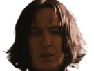 severus-rogue-fic-poudlard-serpentard-professeur-directeur-harry-potter-hp-film-alan-rickman-acteur-britannique