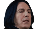 severus-rogue-fic-poudlard-serpentard-professeur-directeur-harry-potter-hp-film-alan-rickman-acteur-britannique