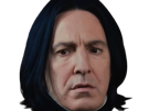 severus-rogue-fic-poudlard-serpentard-professeur-directeur-harry-potter-hp-film-alan-rickman-acteur-britannique