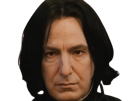 severus-rogue-fic-poudlard-serpentard-professeur-directeur-harry-potter-hp-film-alan-rickman-acteur-britannique