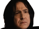 severus-rogue-fic-poudlard-serpentard-professeur-directeur-harry-potter-hp-film-alan-rickman-acteur-britannique