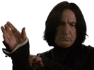 severus-rogue-fic-poudlard-serpentard-professeur-directeur-harry-potter-hp-film-alan-rickman-acteur-britannique