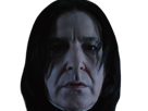 severus-rogue-fic-poudlard-serpentard-professeur-directeur-harry-potter-hp-film-alan-rickman-acteur-britannique