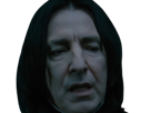 severus-rogue-fic-poudlard-serpentard-professeur-directeur-harry-potter-hp-film-alan-rickman-acteur-britannique