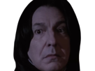 severus-rogue-fic-poudlard-serpentard-professeur-directeur-harry-potter-hp-film-alan-rickman-acteur-britannique