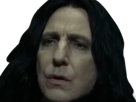 severus-rogue-fic-poudlard-serpentard-professeur-directeur-harry-potter-hp-film-alan-rickman-acteur-britannique