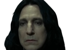 severus-rogue-fic-poudlard-serpentard-professeur-directeur-harry-potter-hp-film-alan-rickman-acteur-britannique