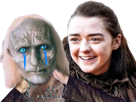 arya-stark-game-of-thrones-marcheur-blanc-night-king-house-the-dragon-got-hotd-walker