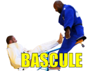 jo-2024-judo-teddy-riner-guram-tushishvili-georgien-balancoire-jeux-bascule