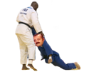 teddy-riner-victime-judo-judoka-coreen-petit-jeux-olympiques-jo