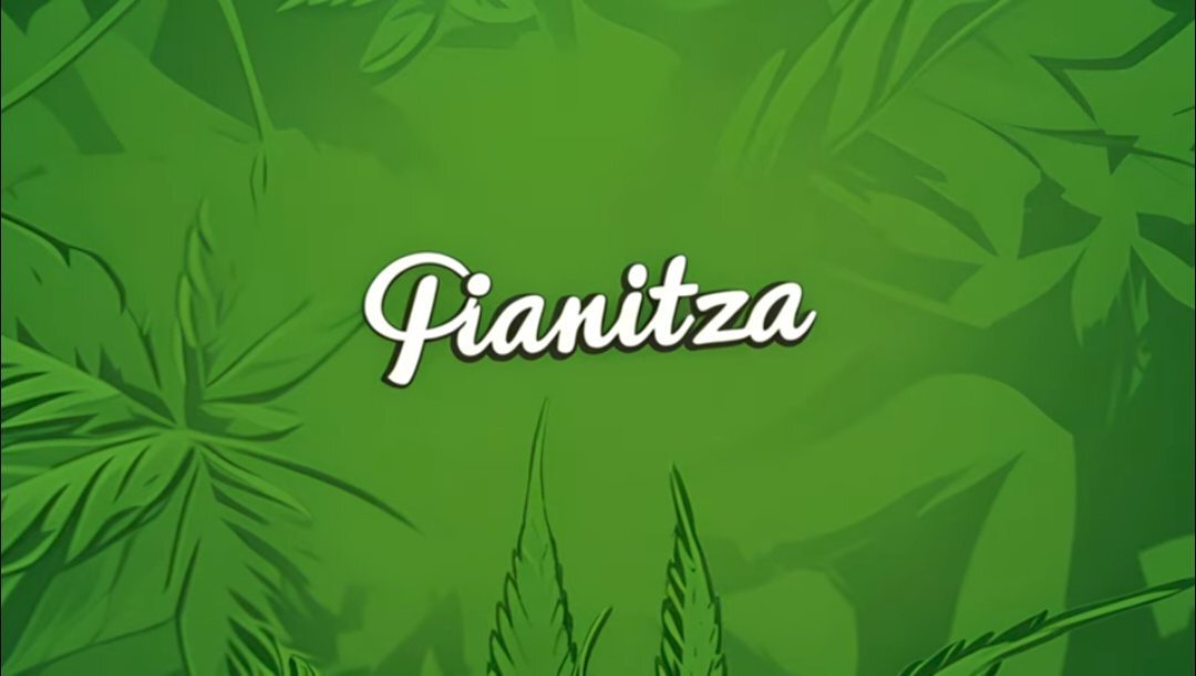 pianitza logo feuille de cannabis