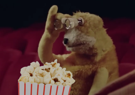 flat-eric-cinema-popcorn-mr-oizo-pop-corn