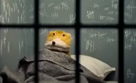 flat-eric-flateric-mr-oizo-prison-lit-emprisonne-taule