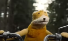 flat-eric-flateric-mr-oizo-mroizo-moto-foret