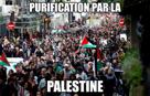 guerre-conflit-israel-israelo-palestinien-immigration-migrant-purification-par-palestine-paris-anti-sionisme-sioniste