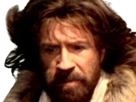 jeremiah-mckenna-lesprit-foret-forest-warrior-film-1996-carlos-ray-chuck-norris-acteur-americain-karate