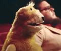 flat-eric-mr-oizo-mroizo-content-souri