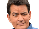 carlos-estevez-charlie-sheen-acteur-scenariste-producteur-americain-mon-oncle-platoon-hot-shots-la-releve