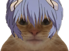 chat-rei-ayanami-kj-bleu-cheveux-evangelion-kikoojap