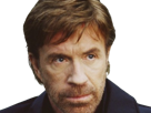 carlos-ray-chuck-norris-acteur-americain-homme-art-martiaux-walker-texas-ranger-delta-force-leplusfort