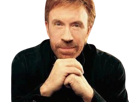 carlos-ray-chuck-norris-acteur-americain-homme-art-martiaux-walker-texas-ranger-delta-force-leplusfort