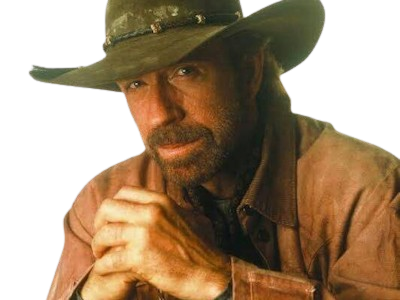 carlos ray chuck norris acteur americain homme art martiaux walker texas ranger delta force leplusfort